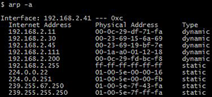 network mac address